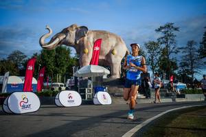 BIB: 
                            <button type="button" onclick="openModal(26541780)" class="btn btn-primary btn-sm float-right btn-popup" data-toggle="modal" data-target=".modal-high-quality">
                        <i class="fas fa-shopping-cart"></i> Add to Cart
                    </button>
                                            <button type="button" onclick="isThisMe(26541780, true)" class="btn btn-success btn-sm float-right btn-popup btn-isme hidden" data-toggle="tooltip" data-placement="bottom" title="นี่คือรูปของคุณใช่ไหม คลิกที่นี่เพื่อเอาเข้าอัลบั้ม">
                        <i class="fas fa-plus"></i> Add to album
                    </button>
                    <button type="button" onclick="isThisMe(26541780, false)" class="btn btn-warning btn-sm float-right btn-popup btn-isnotme hidden">
                        <i class="fas fa-ban"></i> Remove from album
                    </button>